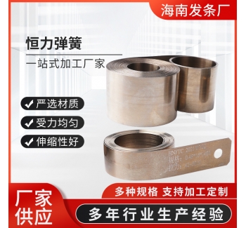厂家生产恒力弹簧系列吸尘器卷线器卷簧保险带收卷簧