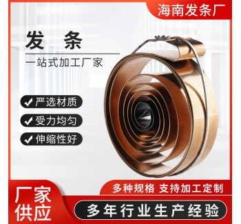 厂家生产发条弹簧台钻转床立钻发条转床涡卷簧伸缩弹簧