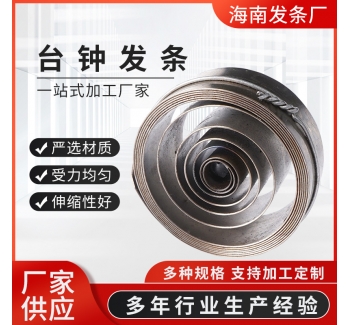 厂家供应台钟网发条不锈钢涡卷弹簧 不锈钢五金弹簧发条