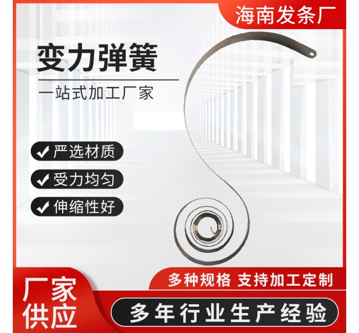 厂家供应 变力弹簧 不锈钢发条弾簹 钢带平面泯卷卷筺定力
